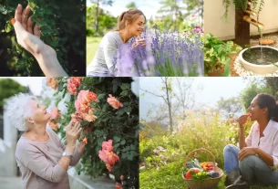 Jardim Sensorial em Casa - capa