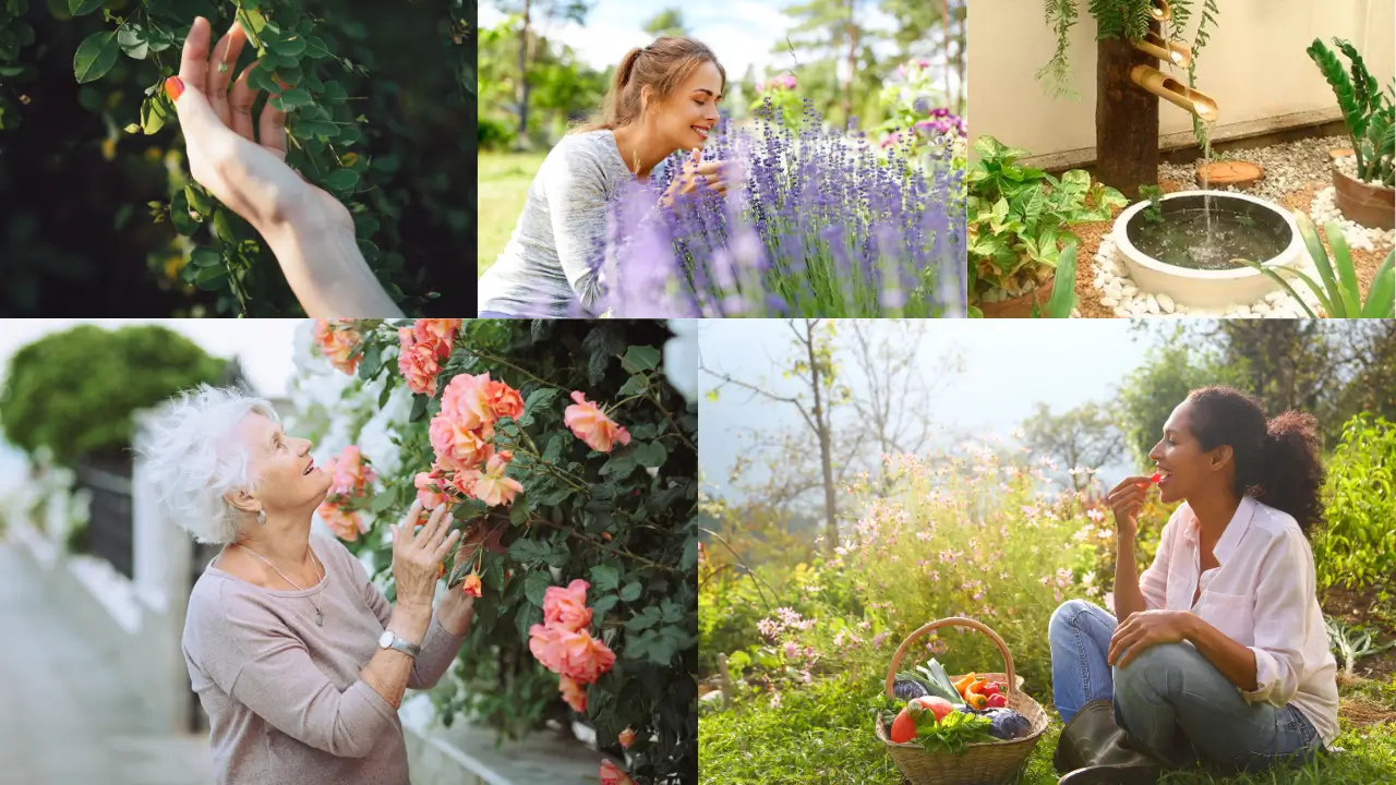 Jardim Sensorial em Casa - capa