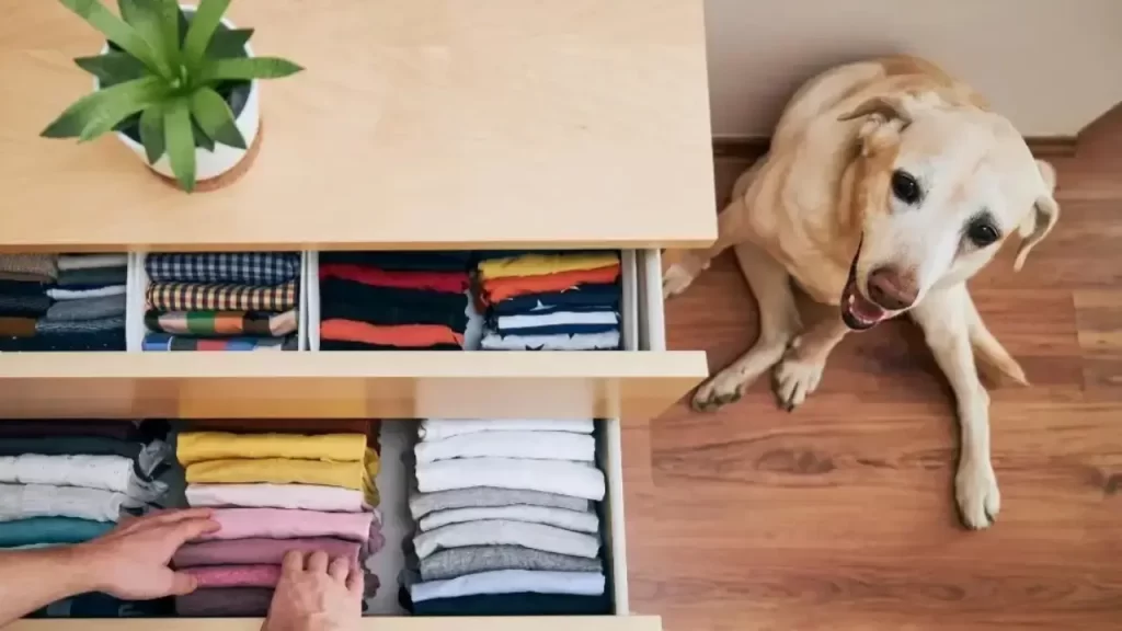 organização de casa com amor
