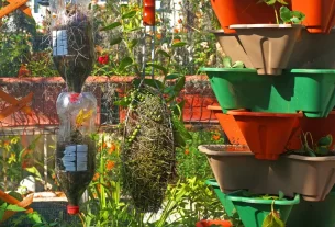 jardim vertical em espaços pequenos