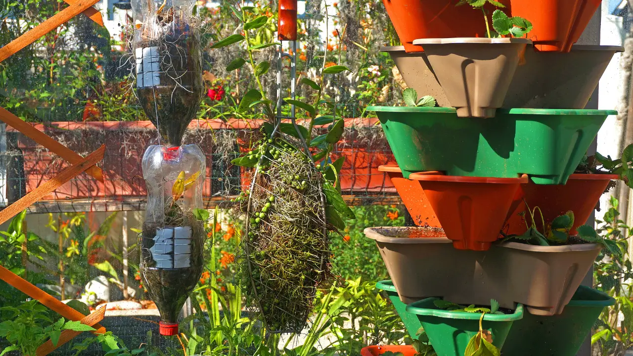 jardim vertical em espaços pequenos
