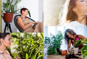 Benefícios das plantas na saúde mental - capa