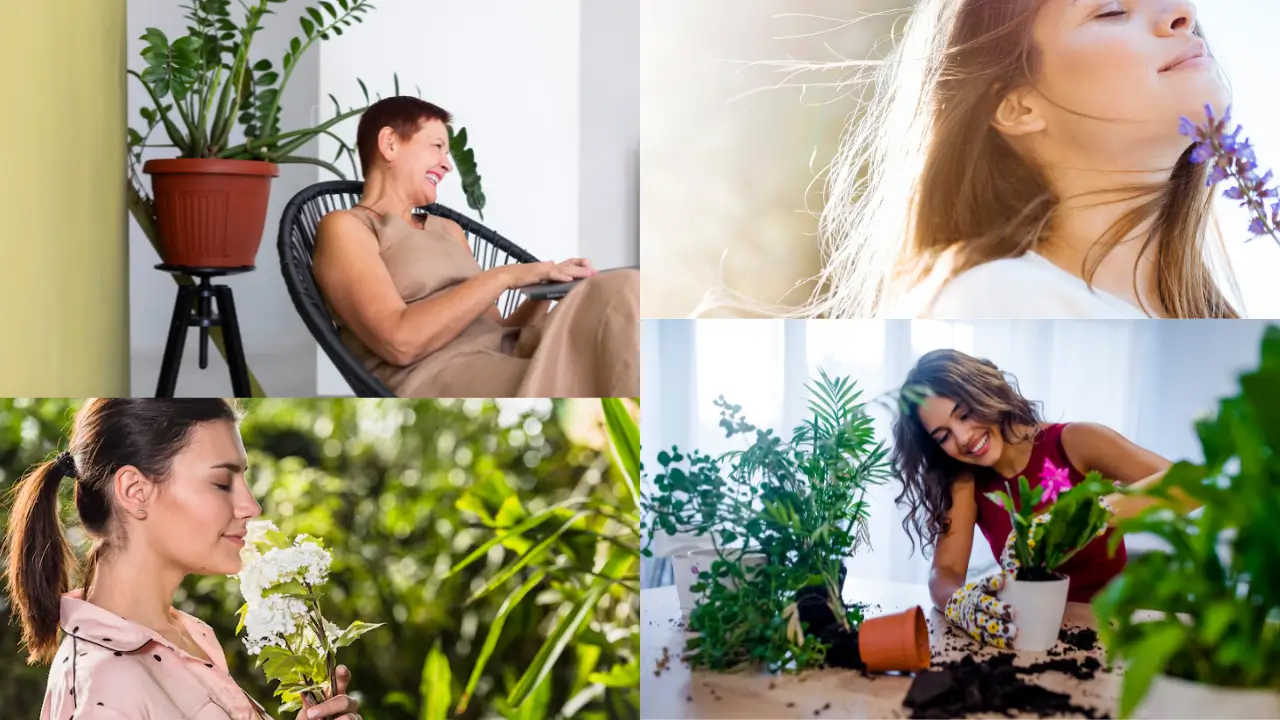 Benefícios das plantas na saúde mental - capa