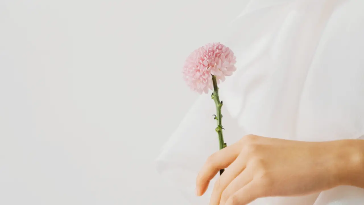 propósito e minha jornada