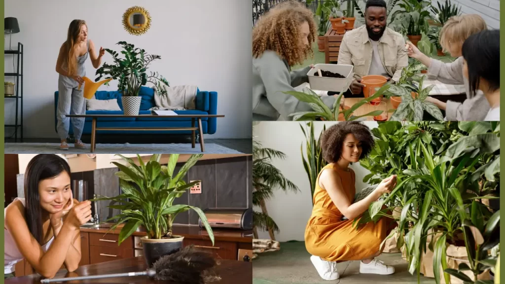 benefícios das plantas na saúde mental - rotina diária de cuidados