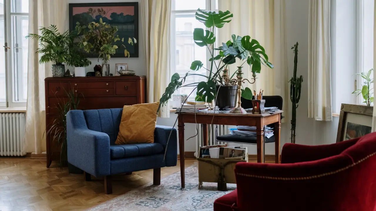 saiba reconhecer os sinais que a casa da - decoração com alma