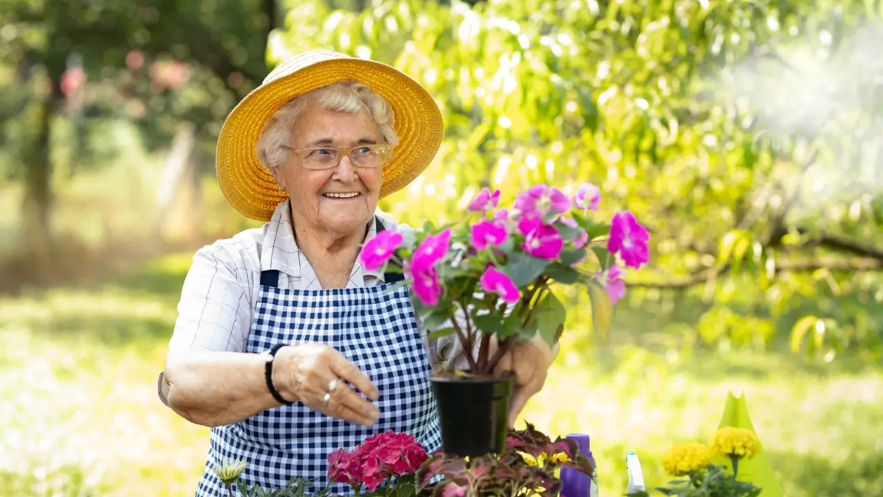 guia de jardinagem para terceira idade