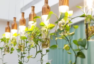 planta jiboia ajuda a purificar o ar