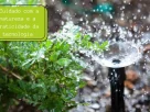 automação no jardim cuidado com a natureza e praticidade da tecnologia