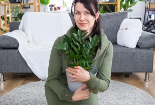 mulher com uma planta nas mãos demonstrando o poder das plantas na rotina da casa