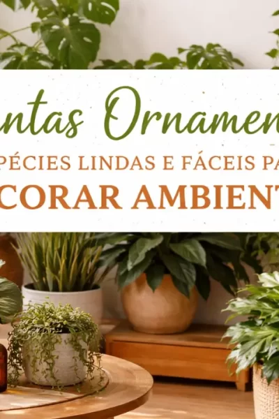 plantas ornamentais lindas e fáceis de cuidar.